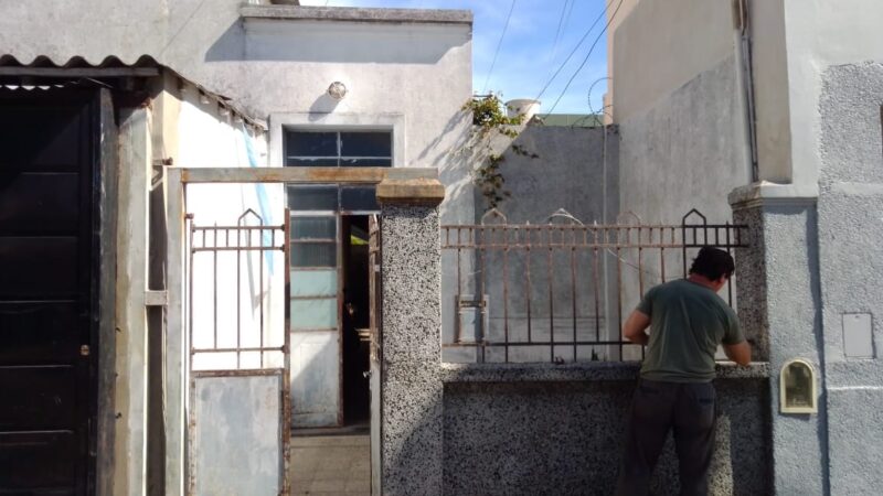 Albañil y Pintor - Professional -