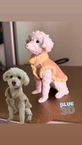 Blue3D Impresiones